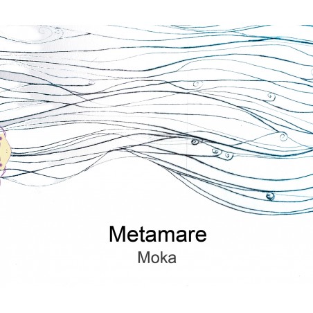 Metamare