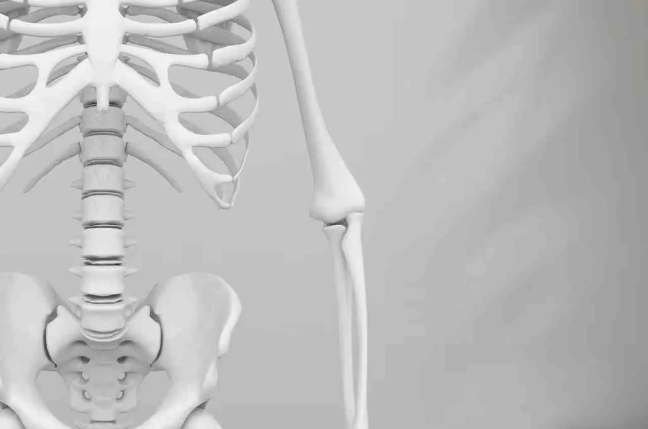 Vuoi ossa più forti? Mangia subito questa verdura: è più efficace del calcio