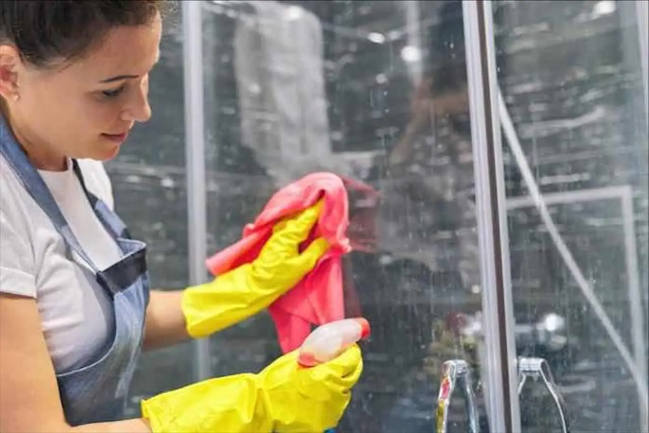 Cosa fa una donna delle pulizie?